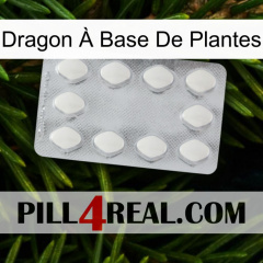 Dragon À Base De Plantes 16